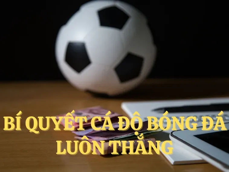 Tìm Hiểu Cá Cược Bóng Đá VN88: Khám Phá Kèo Hấp Dẫn Nhất 2 Tìm Hiểu Cá Cược Bóng Đá VN88: Khám Phá Kèo Hấp Dẫn Nhất