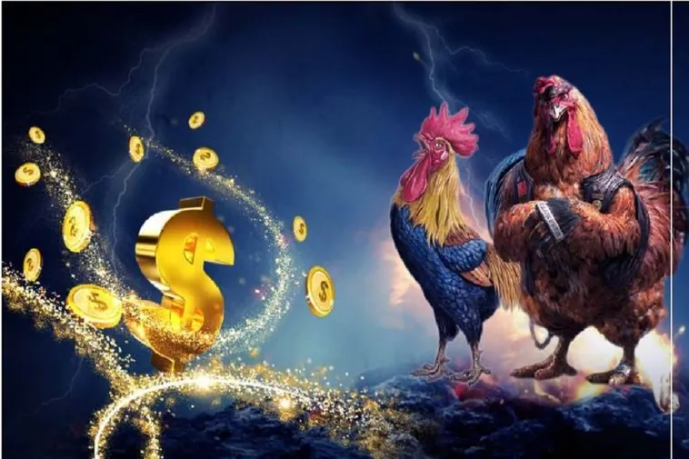 Đá Gà VN88: Trải Nghiệm Cá Cược Đỉnh Cao Tại Sân Chơi Uy Tín 1 Đá Gà VN88: Trải Nghiệm Cá Cược Đỉnh Cao Tại Sân Chơi Uy Tín