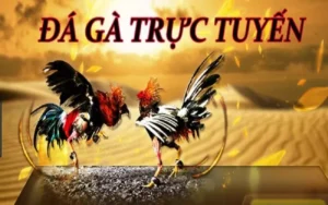 Hướng Dẫn Chơi Đá Gà GA28 Tại VN88: Trải Nghiệm Giải Trí Đỉnh Cao Hấp Dẫn
