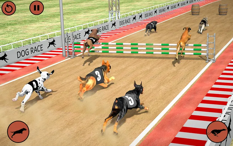 Cách Chơi Game Nhanh Đua Chó Tại VN88: Bí Kíp Cược Thắng Dễ Dàng 2 Cách Chơi Game Nhanh Đua Chó Tại VN88: Bí Kíp Cược Thắng Dễ Dàng