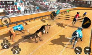 Cách Chơi Game Nhanh Đua Chó Tại VN88: Bí Kíp Cược Thắng Dễ Dàng